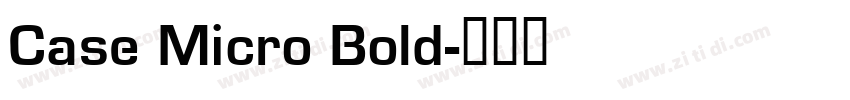 Case Micro Bold字体转换